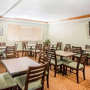 Hotel Quality & International Airport ***