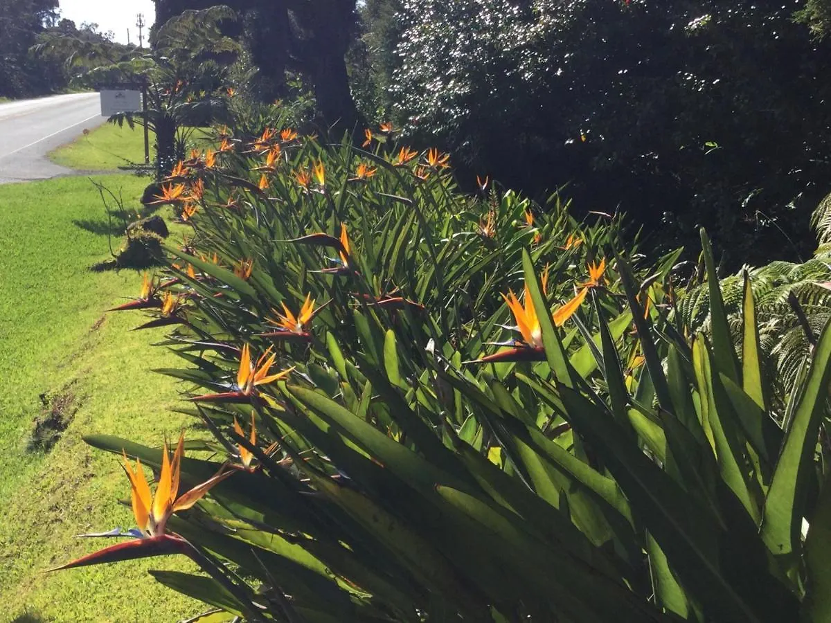 Hale 'Ohu Bed & Breakfast Volcano